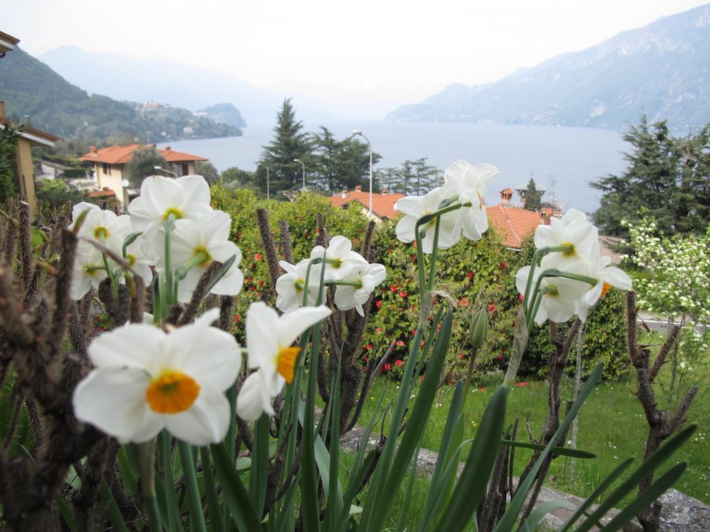 Villa Panorama Oliveto Lario Kültér fotó